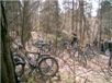 И велосипеды по всем лесу стоят одинокие 